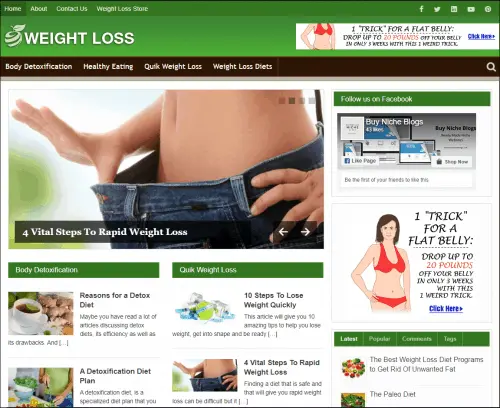 weight loss affiliate niche website