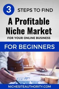 Read more about the article 3 Steps To Find A Profitable Niche Market For Your Online Business For Beginners