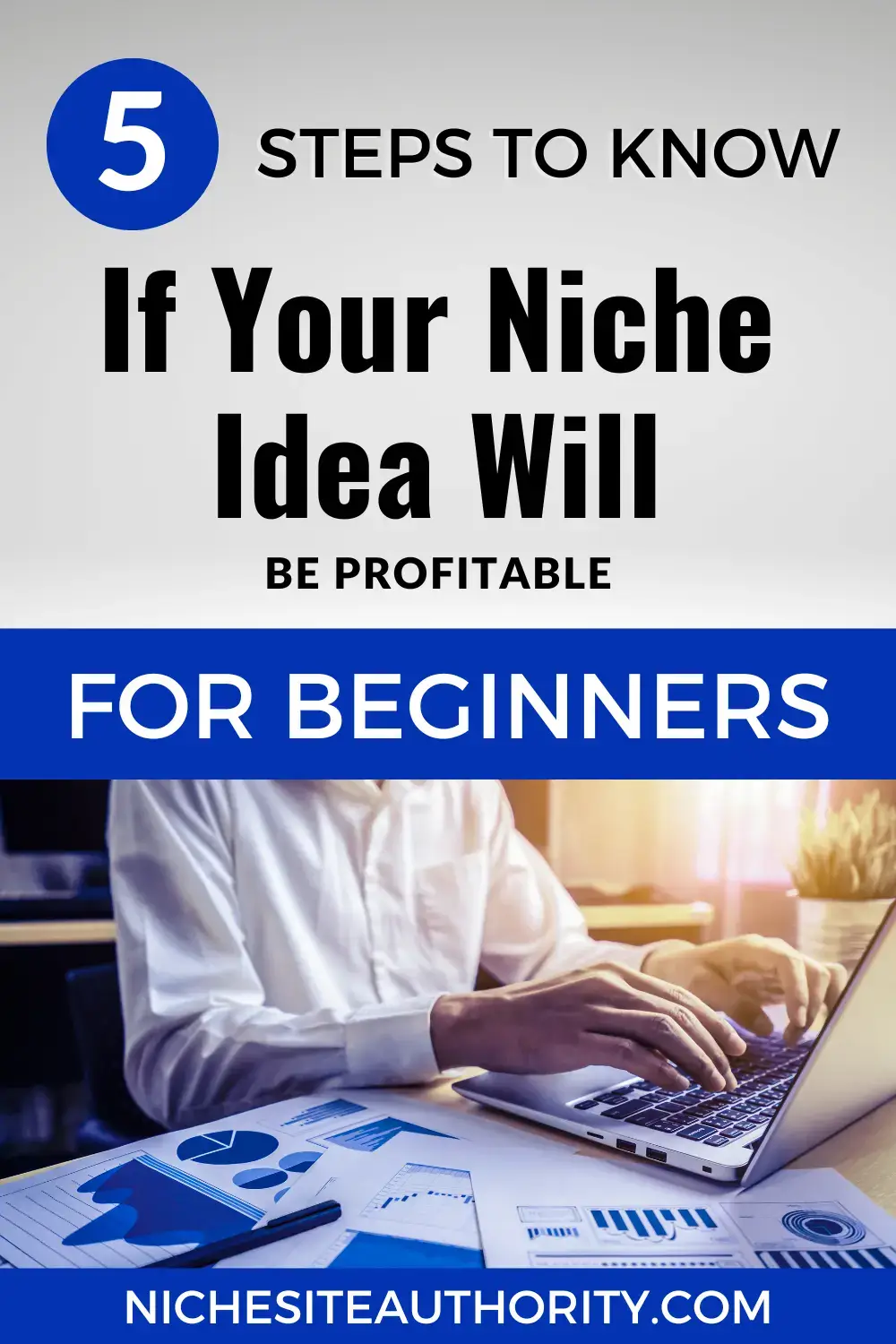 Read more about the article 5 Steps To Know If Your Niche Idea Will Be Profitable For Beginners