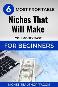 Read more about the article 6 Most Profitable Niches That Will Make You Money Fast For Beginners